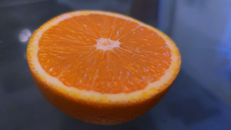 Врач рассказала, какие продукты нельзя есть при простуде 