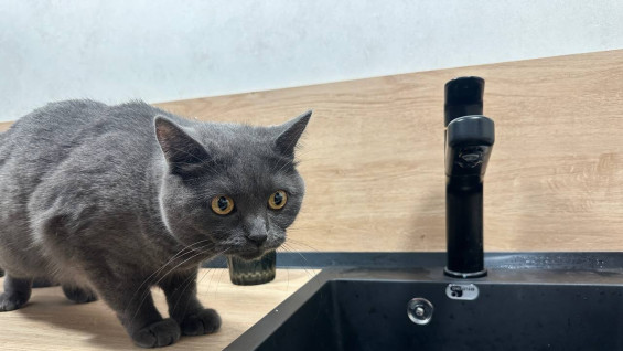 В Самаре жители 11 улиц могут остаться без холодной воды в период с 13 по 19 декабря