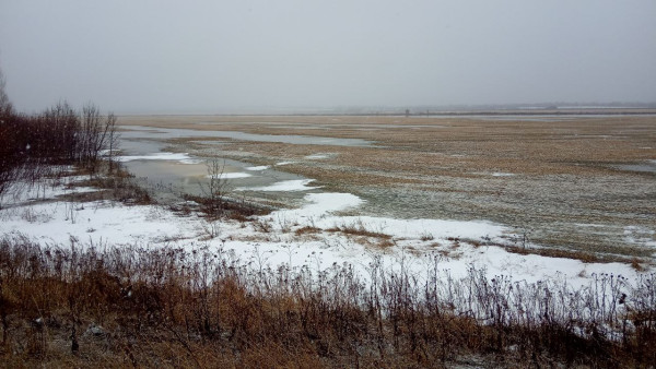 Народный календарь: 6 апреля. Артемон Дери Полоз заставит вас сделать это, чтобы спастись