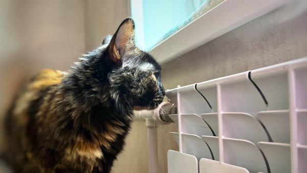 Жителям Безенчукского района могли отключить воду из-за долгов