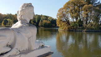 Точный гороскоп на неделю с 25 ноября по 1 декабря для всех знаков зодиака