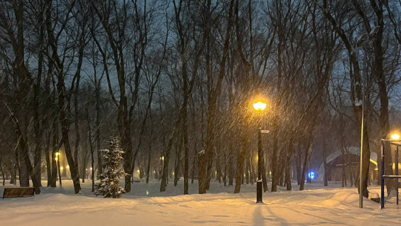 В Самарской области обещают аномальные морозы до -34 °C