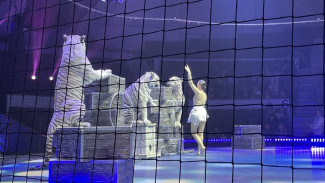 Дрессировщица Алиса Нестерова везет 6 белых тигров через всю Россию в фуре