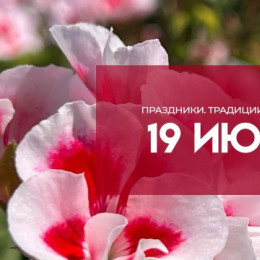 19 июля — Сысоев день: почему в эту дату категорически запрещалось тревожить пчел