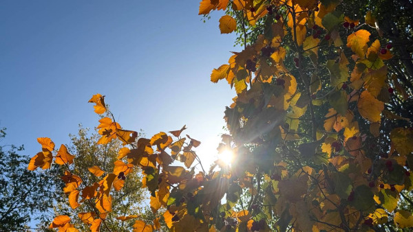 В Самаре ожидается аномально теплое начало октября