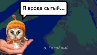 Тайна "Жареного Бугра": откуда взялись самые забавные названия в Самаркой области? 