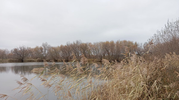 Прокуратура сочла законной стройку офисного центра на месте бывшего озера в Самаре