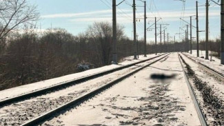 В Самарской области прохожие набрели на расчлененный труп мужчины 