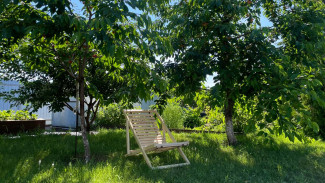 В Самару придет жара до +33℃ в начале июля