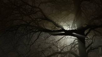 17 декабря в Самарской области грянет новая магнитная буря