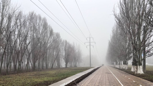 Погодная опасность объявлена в Самарской области на 30 ноября