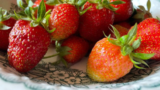 Народные приметы: 14 июля. Не повышайте голос на Летние Кузьминки, если не хотите попасть в беду