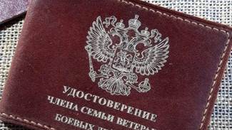 Мать погибшего участника СВО из Самарской области добилась удостоверения после ошибки в документах