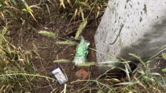В Тольятти вор закопал ювелирные украшения во дворе 