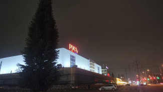 Первая новогодняя елка появилась у ТЦ «Русь» на Московском шоссе в Самаре