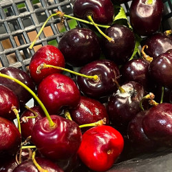 Самарцам рассказали о сезонной ягоде для омоложения организма