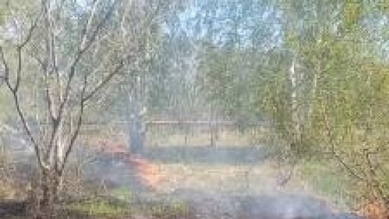В Самарской области загорелось 100 квадратных метров травы