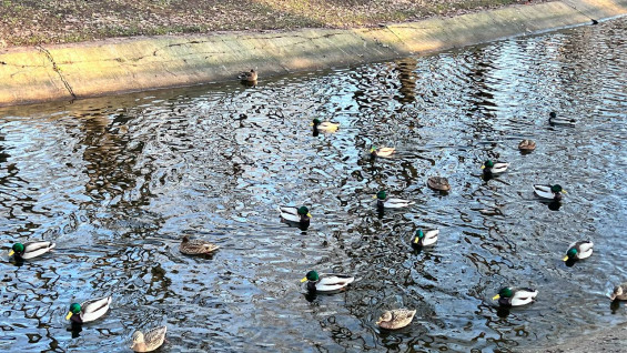 Гороскоп на 7 декабря: трем знакам стоит остерегаться неоправданных надежд