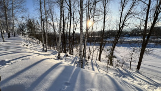 Народные приметы: 27 января. Выпейте это в Нинин день, если не хотите сгинуть