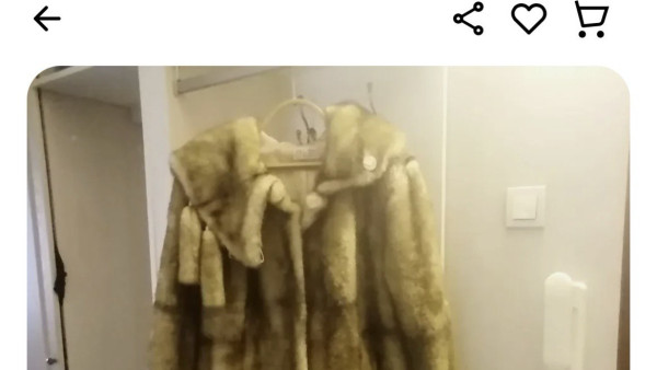 В Самаре продают полушубок из искусственного меха за 2 млрд рублей