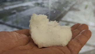 -6°C: Ультраполярное вторжение в Самарской области