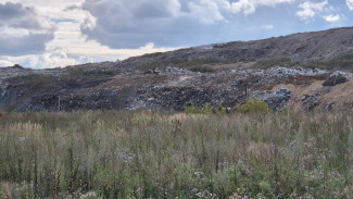 Очаги задымления на мусорном полигоне «Преображенка» окончательно ликвидированы 11 сентября