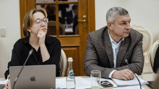 Александр Хинштейн опубликовал фото совещания с Анной Урусовой из Самары