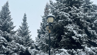 Последняя неделя зимы 2026 года в Самарской области окажется морозной