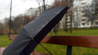 В Самарской области 7 апреля объявлен желтый уровень опасности из-за ветра 