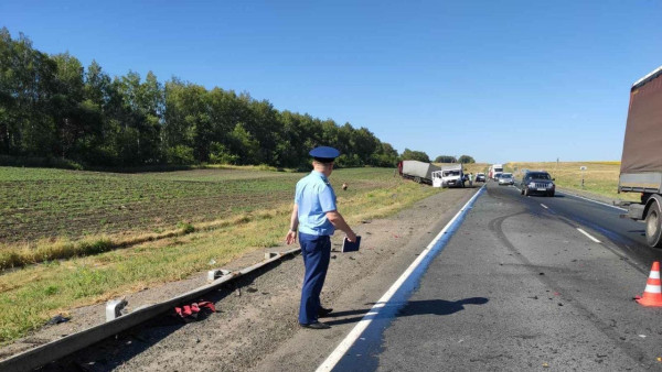 В смертельном ДТП на трассе М-5 в Самарской области погибли водитель и пассажир