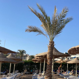 Самарцам хотят увеличить время отпуска за счет выходных 