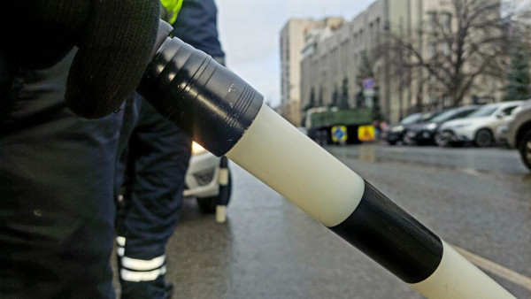 В Самарской области в ДТП погибли 2 ребёнка 