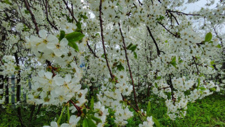 Врач рассказала, какие продукты опасно есть при аллергии