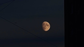 Рождённые в эти периоды заберут всю удачу и успех: каменный прогноз астролога на год Зелёного Деревянного Дракона