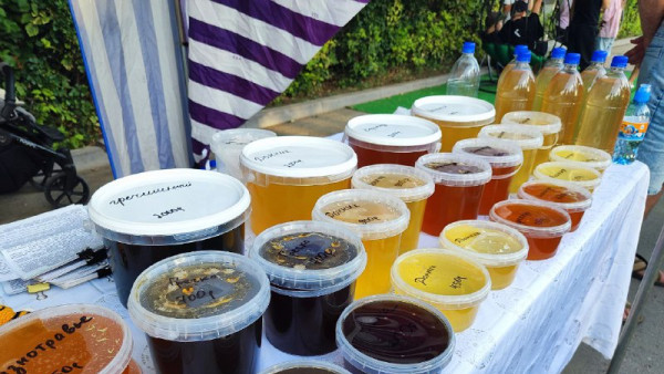 Пасечники назвали самый лучший мед в Самарской области