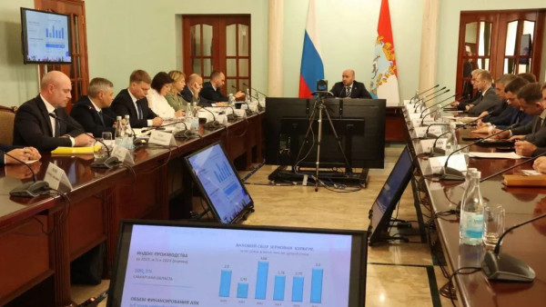 В Самаре на заседании правительства обсудили бюджет на три года и изменения в управленческой системе