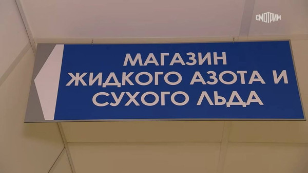 Екатерина Тархова рассказала о подготовке новогоднего шоу после двойного убийства