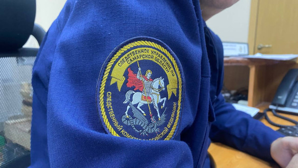 Глава СК РФ Бастрыкин затребовал доклад о слишком мягком приговоре суда в Самарской области 