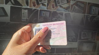 Стало известно, когда у самарских водителей появятся электронные права