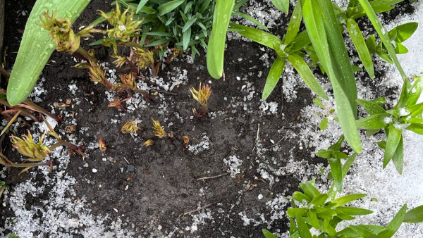 Самарскую область 22 июля накроет мощный удар стихии: град, ливень и шквалистый ветер