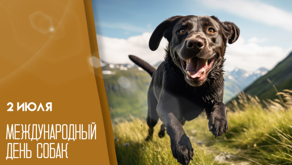 2 июля — Международный день собак: делимся яркими открытками