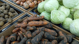 В Самарской области зафиксирован рост цен на корнеплоды до 7,5%