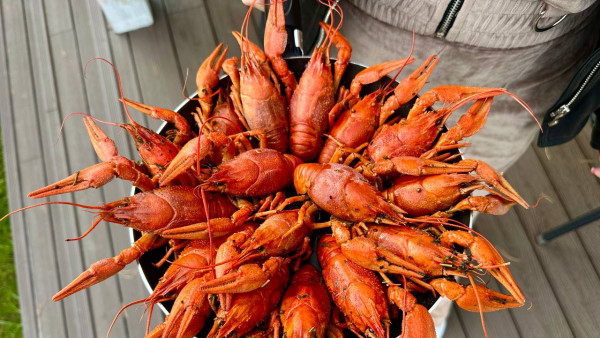 В Самаре местный житель незаконно выловил полторы тысячи раков