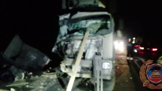 Три грузовика столкнулись на трассе М-5 «Урал» под Самарой