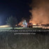 Под Самарой потушили крупный лесной пожар на 2 гектарах