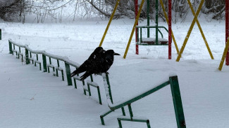 Самарские синоптики рассказали о погоде в последние дни новогодних каникул