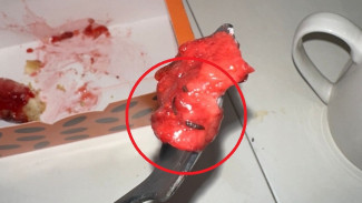 "Клубника червивая": самарец съел чизкейк с опарышем