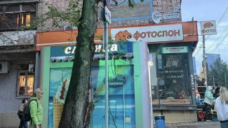 В Самаре возбуждено уголовное дело после падения дерева на 13-летнюю девочку