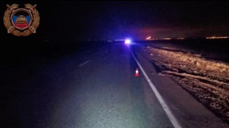 Ночное ДТП на трассе под Самарой: грузовик насмерть сбил пешехода