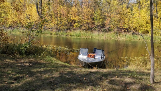 Под Самарой владельцев популярной турбазы заставили снести баню и бассейн